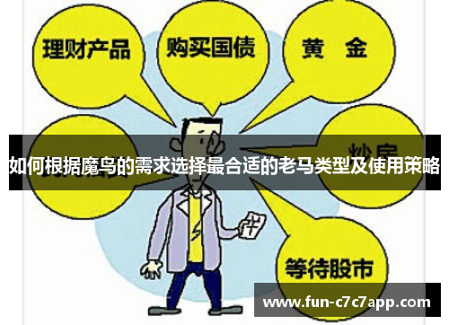 如何根据魔鸟的需求选择最合适的老马类型及使用策略